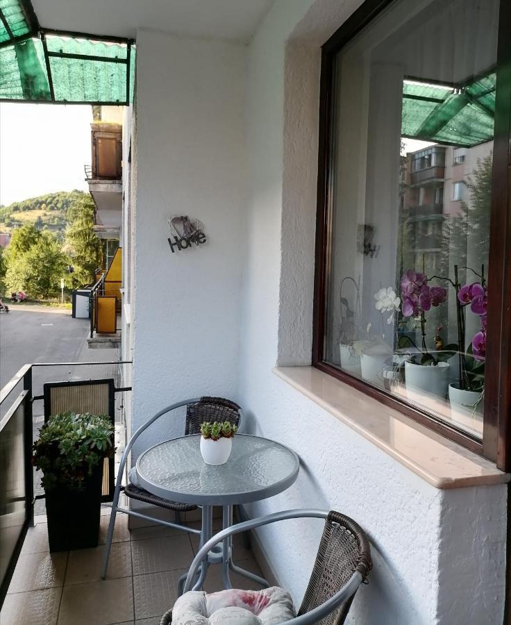 Joy Apartman Apartment Sovata Luaran gambar